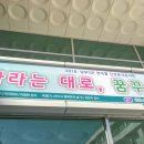 충북도립대학 | [진로 토크콘서트 후기] 여.행.기 여기서 행복하게 살기 (Ft. 충북도립대학)