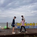 하품 | 강원도 양양 애견동반 펫비치 지경리해수욕장 아이들과 하품이랑 다녀온 후기