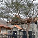 용인한터팬션물안개 이미지