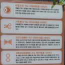 고성 가봐야 할 곳, 고성 건봉사의 봄