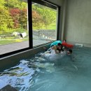 스테이바움 이미지