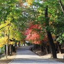 백제축산 이미지