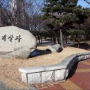 정치01 이미지