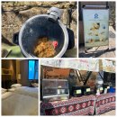 씨하이호텔 | 중국 황산 여행②｜서해대협곡 코스 &amp; 씨하이호텔(Xihai Hotel) 숙박후기 (+모노레일·여행꿀팁 포함)
