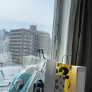 2024.05 Tokyo 여행 4일차 #1