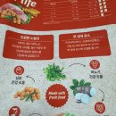 유카라이프 | 바삭함 속에 담긴 필수 영양, 마이펫닥터 강아지 건사료 급여 후기