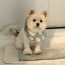 인동농협4공단지점 | [일상 로그] 운동 가고 일반건강검진, 도서관 가기