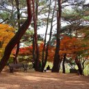 금강공원1 이미지