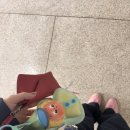 이마트24 이대목동병원점 | [이대목동병원 시험관] 동결 1차 배아이식 당일 + 이식 후 외래 후기