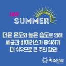 위례미소안경 이미지