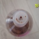 로즈에잇 이미지
