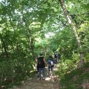 주(酒)량 이미지