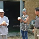유락농장 네이버블로그