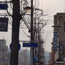 거북장여관 - 경산시 경안로33길 32-1 | 거북장여관