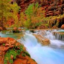 치유의 숲 이미지