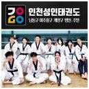 한국체대 가온 태권도 이미지