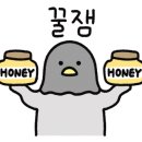 물수세차
