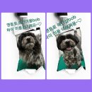 BOB영등포점 이미지