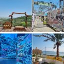 창락제1농로 | 서울 근교 1박 2일 여행 '강화도 1박 2일 여행 코스 &amp; 비용' 국내 1박 2일 여행지 추천