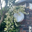 스완네 | 대구 수성구 범어동 카페 스완네 커피, 빙수, 디저트 후기(feat. 스콘팔레트, 팥빙수, 라즈베리 셔벗...