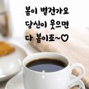 고운빛머리염색