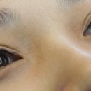 라이콘스파에센셀