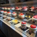 대종로 | 성심당 부띠끄 2월 신상메뉴 구매후기(딸기요거롤, 딸기요거케익)