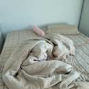 복터진 강아지 이미지