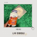 텐산 | 나우 판톤텐산 내돈내산 여드름 때문에 선택한 이유