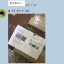 제네럴 PC | 생애 첫 직구, 폴러 원맨 텐트 구매 후기