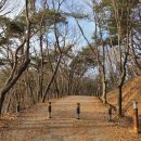 UR(공주시)-[차령고개로]-상-8 | 청양 칠갑산 최단 코스 등산(칠갑광장~자비정~칠갑산 정상~원점)