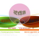 비타민김치 네이버블로그