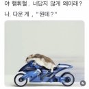 일미리금계통닭 네이버블로그