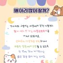 포레브동물의료센터 이미지