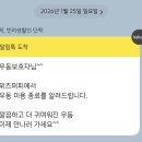 위즈퍼피(WIZ PUPPY) 이미지