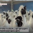 굿모닝베이커리 이미지