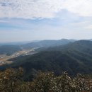 미산면사무소 이미지