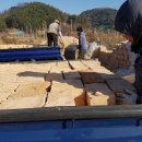 가야청국장 이미지