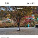 이안힐링캠핑