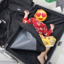 토비스한식당 | 호주 멜버른 시드니 가족 자유여행 (1)아이들과의 여행 준비 과정