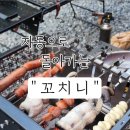 꼬치니 이미지