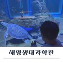 생태와 기후변화이야기 | 아기랑 실내 가볼 만한 곳 시흥 해양생태과학관 거북섬해양박물관