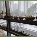 다올메디칼 이미지