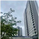 13단지메가홈즈공인중개사사무소 이미지