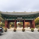 경성중학교 | [경희궁] 조선 5대 궁궐 서궐 경희궁 관람후기와 경희궁의 역사, 경희궁 주차정보