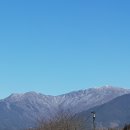 중앙 행정사 사무소 이미지