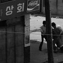 씨네비디오 이미지