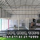 공주 이숲캠핑장, 아이들 놀기좋은 방방이와 바리스타 커피 맛집