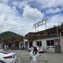 거창가든 | 거창가든 오리 전문점 방문 후기 / 문어 오리 한방 백숙 후기