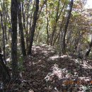 큰골목장 이미지